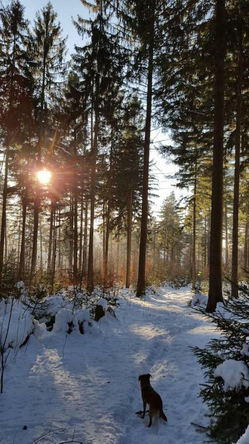 Im Erzgebirge Wandern, Fahrrad Fahren Oder Entspannen Ehrenfriedersdorf Zewnętrze zdjęcie