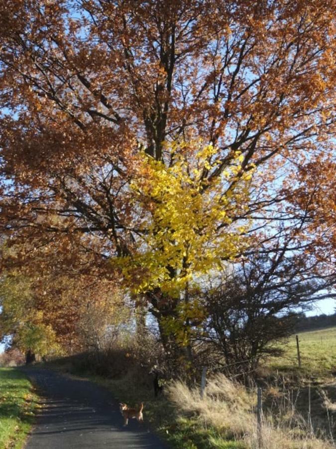Im Erzgebirge Wandern, Fahrrad Fahren Oder Entspannen Ehrenfriedersdorf Zewnętrze zdjęcie