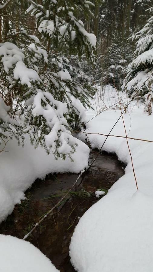 Im Erzgebirge Wandern, Fahrrad Fahren Oder Entspannen Ehrenfriedersdorf Zewnętrze zdjęcie