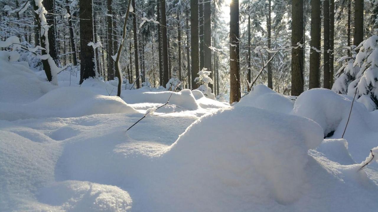 Im Erzgebirge Wandern, Fahrrad Fahren Oder Entspannen Ehrenfriedersdorf Zewnętrze zdjęcie